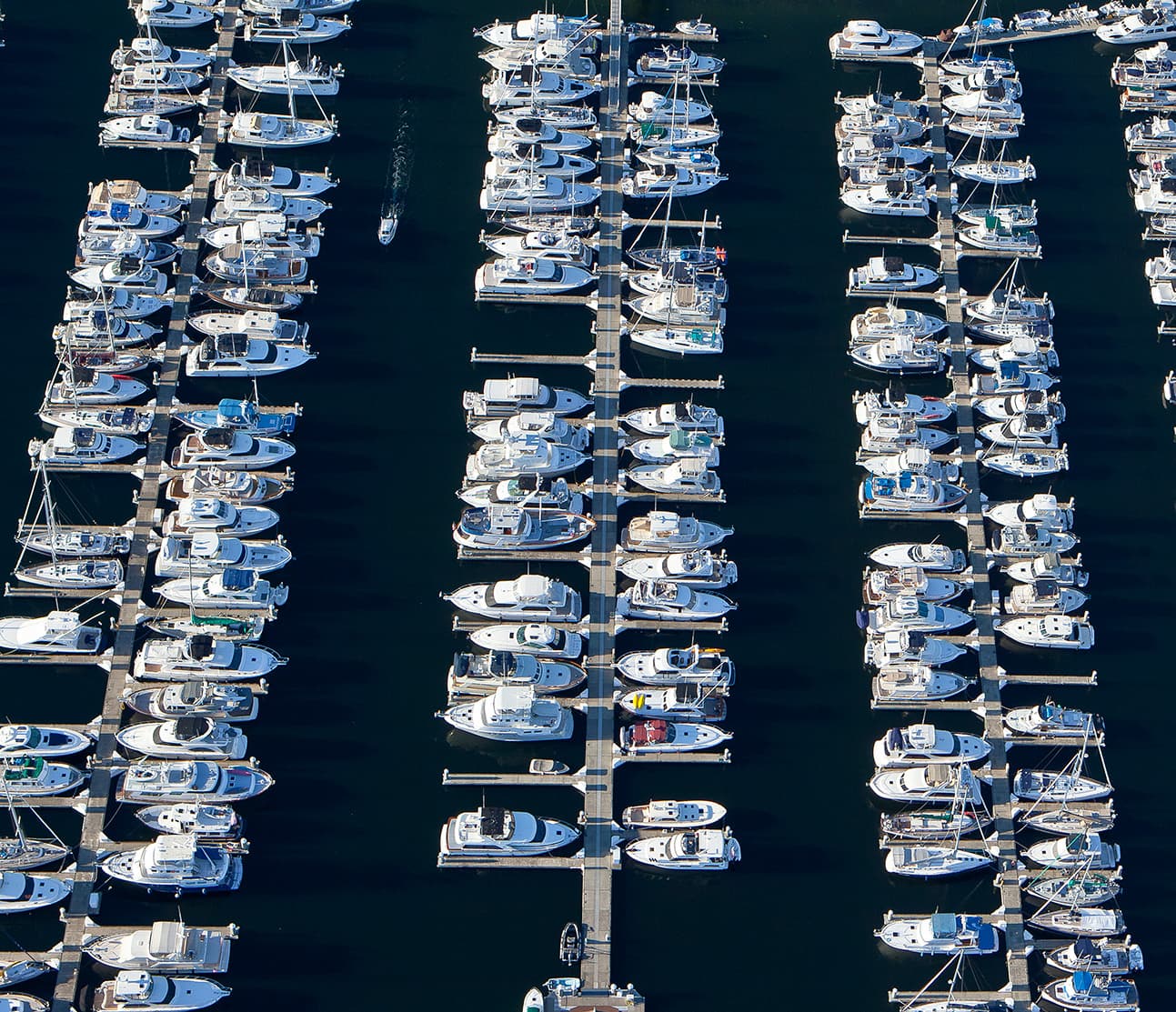 Monaco, between shows.